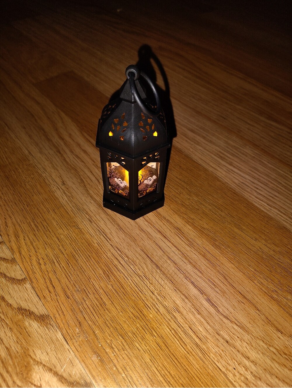 Halloween Flickering Light up Lantern Light